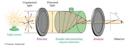 Measurement of Optical Activity: Optical Rotation The optical activity of a substrate is usually assessed as the optical rotation (degree of rotation of plane-polarized light) and is