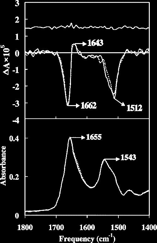Vibrational circular dichroism (VCD) A recently developed technique is VCD which can be used to examine the infra-red spectral region VCD (top) and absorbance (bottom) IR spectrum of the amide region