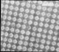 109 Two-Dimensional Photonic Crystal Slabs The Sample RUN3 Figure 2.18 Sample RUN3: unit cell (left) and SEM image (right). Courtesy of Romanato, F. et al., NNL - INFM, Italy. Fig. 2.18 shows a SEM image of the sample RUN3 and a sketch of its unit cell.