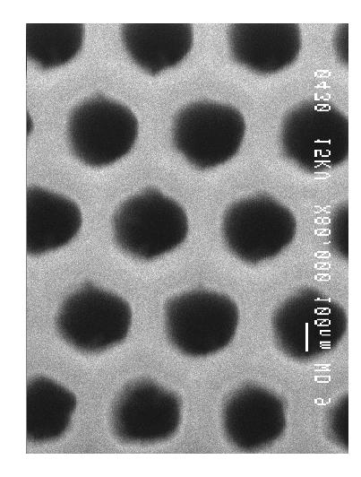 WAVE PROPAGATION 136 Figure 3.5 SEM micrographs of a photonic crystal with lattice constant a=400nm fabricated using CAIBE etching. The images were taken before the SiO 2 mask removal.