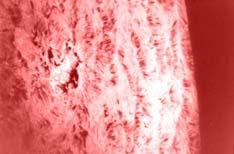 These are dense, somewhat cooler, clouds of material that are suspended above the solar