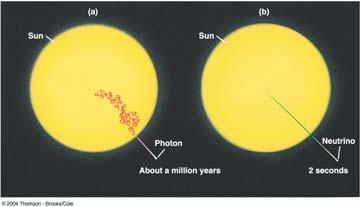neutrino and positron (anti electron). The positron annihilates an electron producing gamma rays (photons).