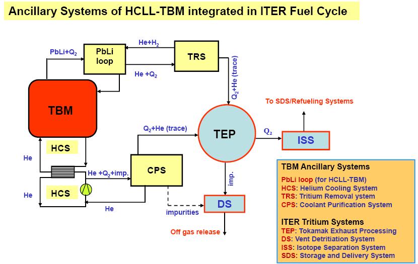 HCLL TBM System