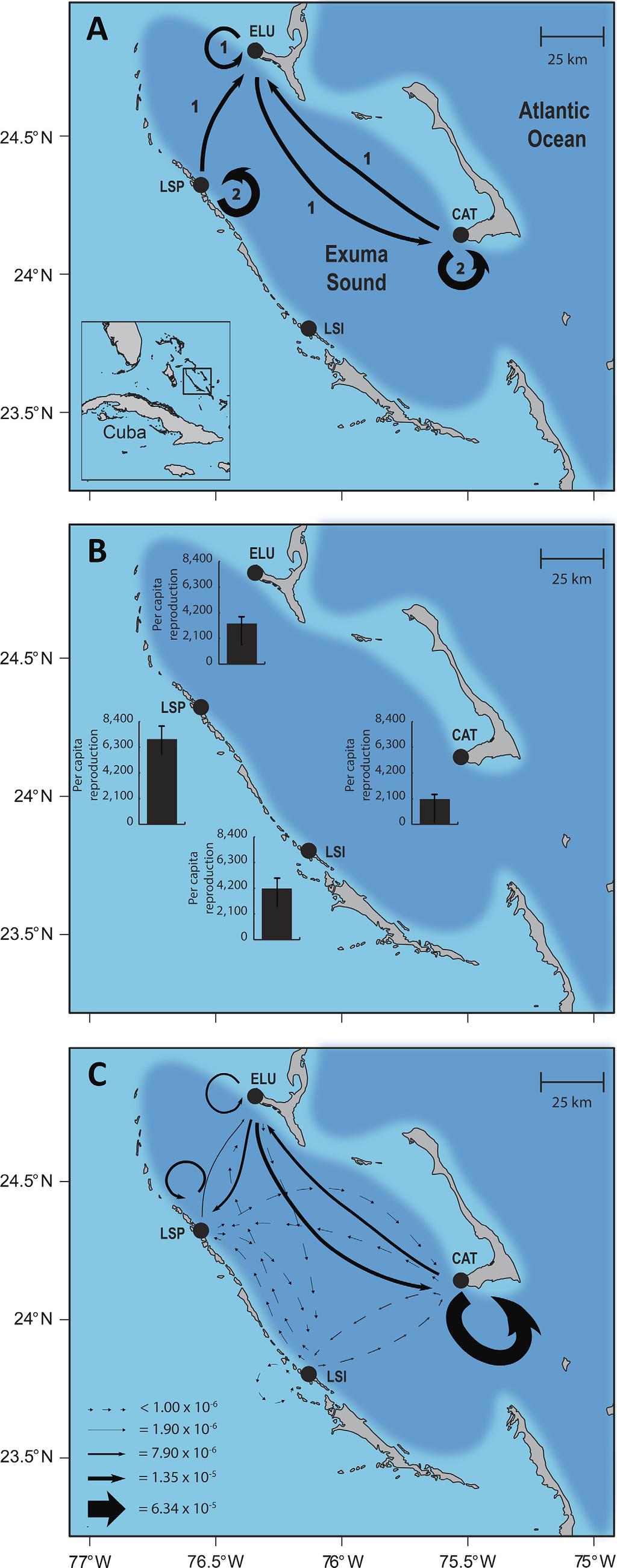 June 2018 INTEGRATING DEMOGRAPHY AND CONNECTIVITY 1425 appreciable number of eggs produced at Cat Island recruited to Eleuthera (and vice versa), suggesting that grand offspring of fish at Cat Island