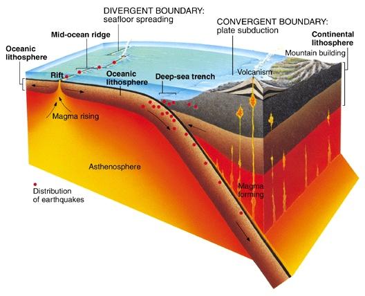 Plate tectonics shaped the Earth Seafloor recycling Keeps the seafloor young Ocean ridges and