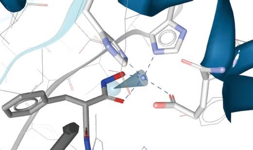 3D Pharmacophore Modeling Techniques in Computer-Aided Design Using LigandScout 287 2.19A 2.49A 1.96A 1.96A 2.11A Figure 20.