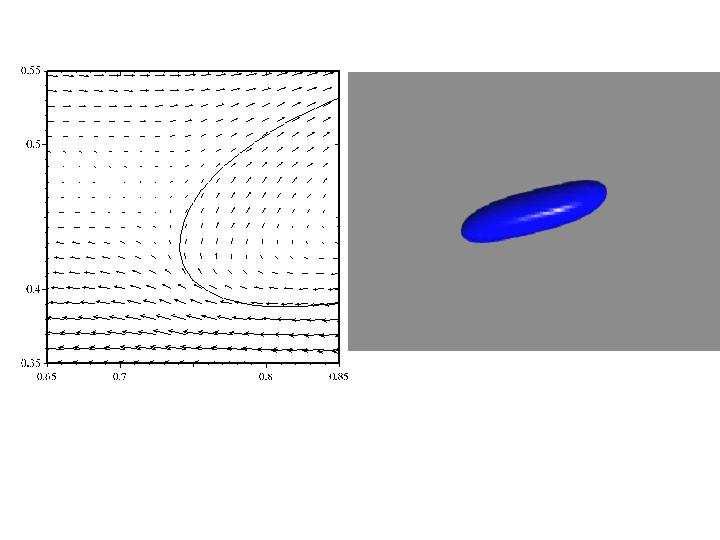 5 Fig. 3 Ca = 0.4, unbounded, Stokes flow. Numerical simulation of stationary state, t/ca = 22, L/2a = 2.1.