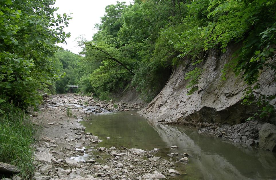 Report of Investigation 122 The Sediment Budget of the Illinois River: 1981-2015 Riv