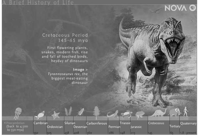 550 million years ago to the present There has been a succession of species, most of which are extinct now.