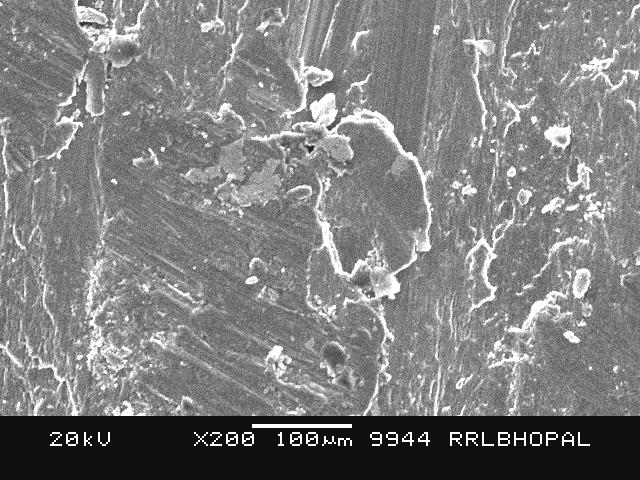 Micrographs of seized samples.