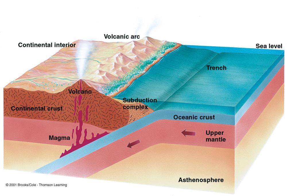 Three Types of Convergent Boundaries Oceanic-Continental Convergence Occurs when an oceanic plate is subducted beneath a continental plate A