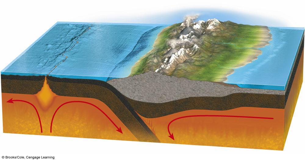 Major Features of the Earth s Crust and Upper Mantle Abyssal hills Oceanic crust (lithosphere) Abyssal floor Oceanic ridge Abyssal floor Trench Volcanoes Folded mountain belt Craton