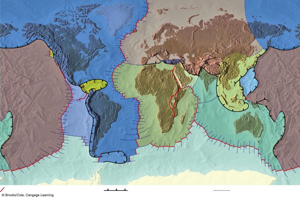 The Earth s Major Tectonic Plates EURASIAN PLATE JUAN DE FUCA PLATE PACIFIC PLATE COCOS PLATE NORTH AMERICAN PLATE CARIBBEAN PLATE NAZCA PLATE SOUTH AMERICAN PLATE AFRICAN PLATE ANATOLIAN PLATE