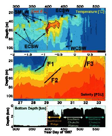 ARCTIC (ATLANTIC) HALOCLINE - less salinity range - saltier at surface - sharper bend in TS space Arctic Intermediate Western versus Eastern Halocline Water Image from Steele and Boyd 1998 Polar