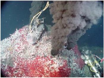 Hydrothermal vent in deep sea. https://www.brh.co.