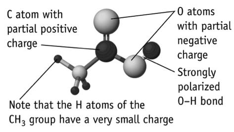 or more water molecules. Base: A substance that contains increases the hydroxide ion concentration, [OH ], when dissolved in water.