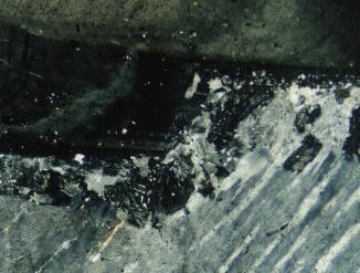 Fig. 20. Albite-twinned, zoned plagioclase (top, black) bordered by myrmekite against microcline (bottom, light gray).