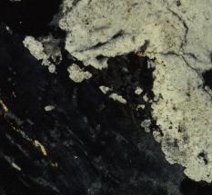 20 Fig. 22. Plagioclase (white). Microcline (black to dark gray). Microcline penetrates and replaces the plagioclase, leaving tiny island remnants of the plagioclase in optical parallel continuity.