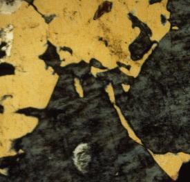7 Fig. 8. Irregular islands of orthoclase (dark gray) enclosed in quartz (yellowish cream).