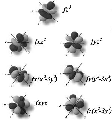 The seven f orbitals Seven values of m l (-3, -2, -1,