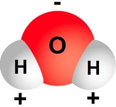 17. Re-teach Relate the Structure of Water to its function and investigate the properties of solutions and factors affecting solubility. STRUCTURE of WATER molecule _ 1.