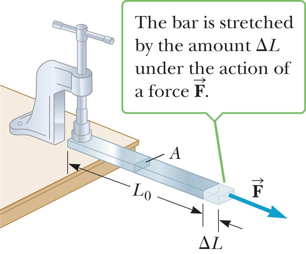 Elasticity in Length When an external force is applied to a bar of length L o perpendicular to its cross section, it will be stretched to a greater length L o + ΔL.