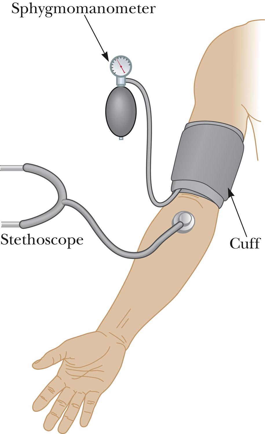 Blood pressure measurements The pressure in the cuff is increased until the flow of blood through the brachial artery is stopped. The pressure is measured simultaneously by a manometer.