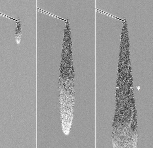 (a) (b) Figure 1: Avalanches triggered by a needle. Initially, an uniform layer of granular particles rest on an inclined plane. Depending on the tilt angle, two different behaviors are seen.