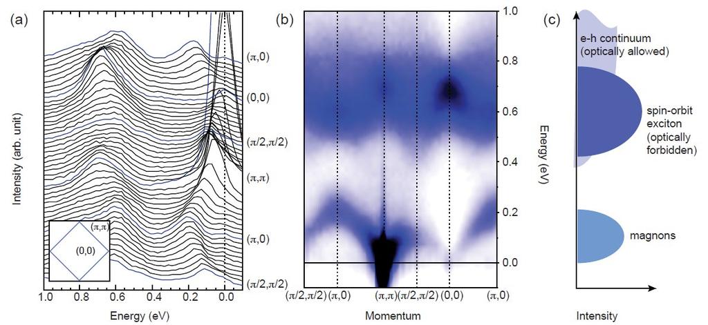 Magnons: spin waves Magnetic excitations: orbital physics in transition metal oxides Sr 2 IrO 4 J. Kim et al.