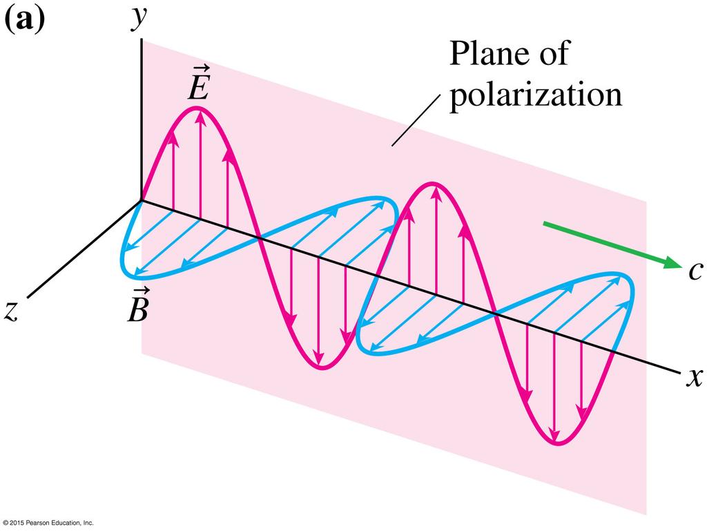 25.5 Polarization The plane of polarization contains the electric field vectors of
