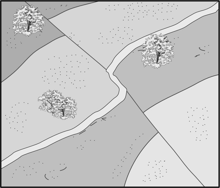 11. This area of land with a variety of surface features is viewed from above. What caused the shift of the surface features? A. A fault B. A road C. A flowing stream D.