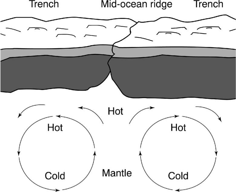 14. Use the diagram below to answer the following question(s). Based on the diagram, which process explains why less dense, hot magma rises to the surface to displace more dense, cooler magma? A.