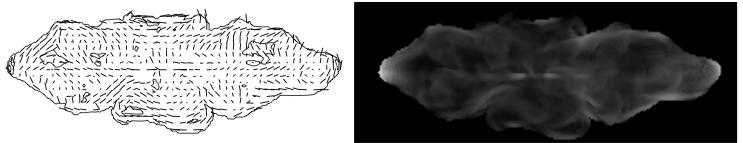 [Huarte-Espinosa, Krause & ALexander 2011a, MNRAS accepted] 3D MHD Simulated Polarisation Here, random init. jet field, dom.