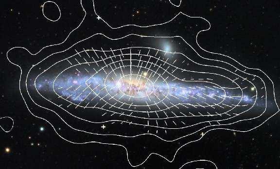 Edge on Galaxies: NGC4631 Halo magnetic fields