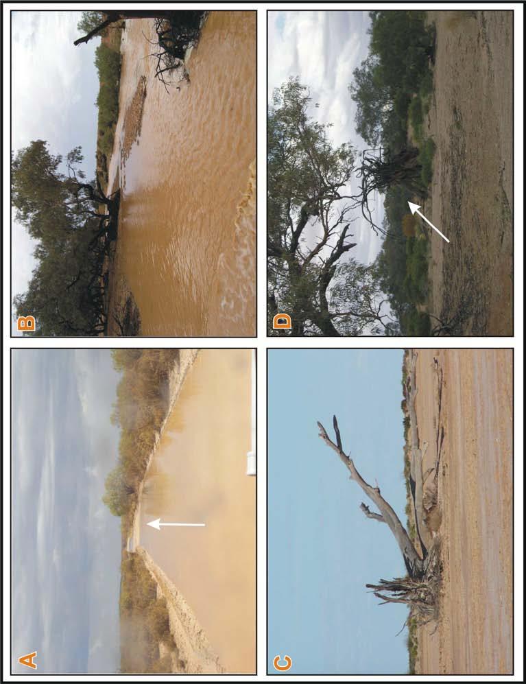 Figure 7.9 Flash flood events recorded in Umbum Creek network. A. Flooding is active on the floodplain before it reaches the main channel, arrow pointing the flow of water to the channel. B.