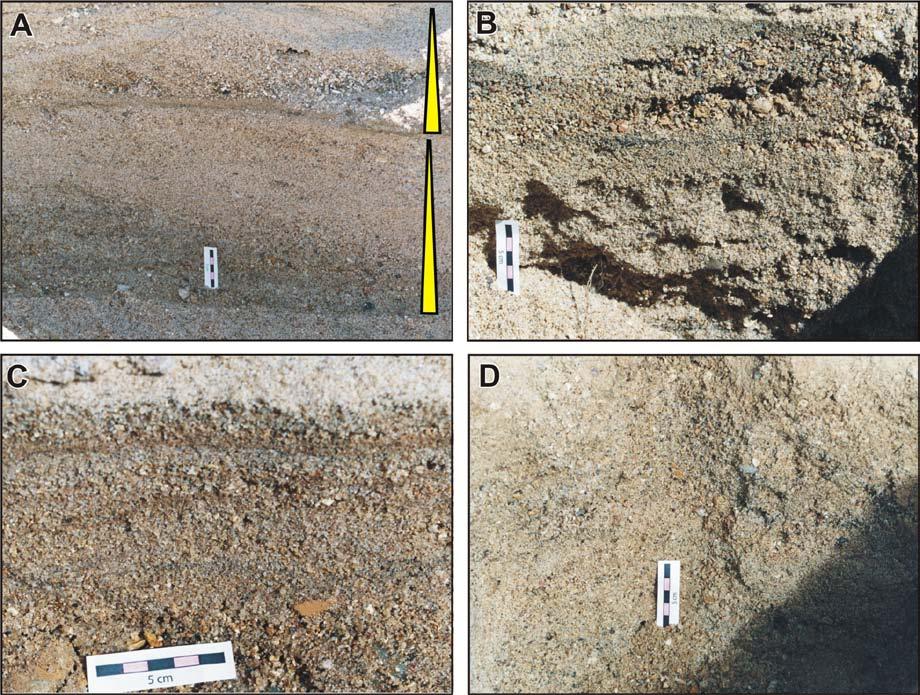 Figure 7.12 Fluvio-aeolian stratification exposed in a shallow pit excavated into a sandflat. Scale bar 5cm for all figures. A. Fluvial depositional bedform (fining upwards cross-bed set). B.