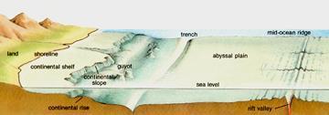 about the rock structure beneath the sediments that blanket the seafloor.