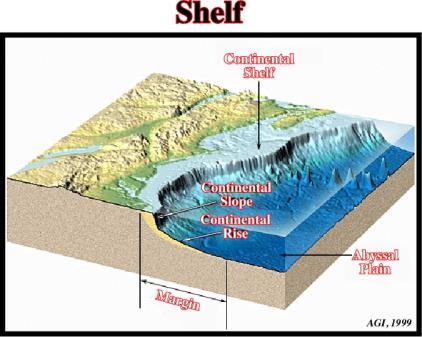 Continental shelf: flat part of continental margin covered by shallow ocean