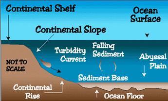 boundary between continental crust and oceanic 16 continental rise: wedge of