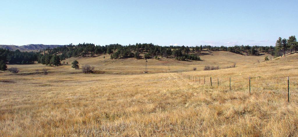 Montana & & Climate SPRING 218 MONITORING AND FORECASTING FOR AGRICULTURE PRODUCERS A SERVICE OF THE MONTANA CLIMATE OFFICE Rangeland south of Ekalaka near the Custer National Forest in Carter