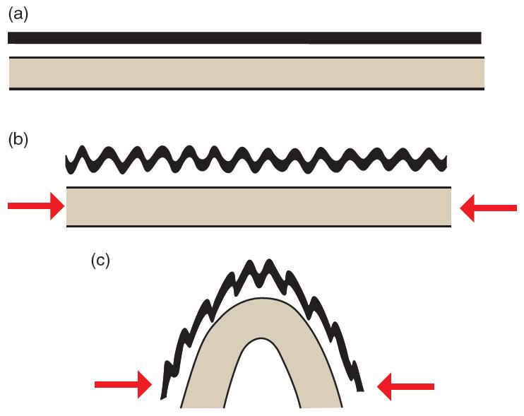 Folding Mechanisms : Buckling Illustration of how folding initiates in thin
