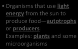 Review Energy: Energy for living things comes from food.