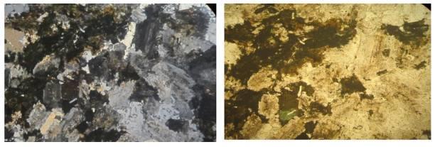 Green Hornblende and Apatite in Quartz Hornblende Syenite