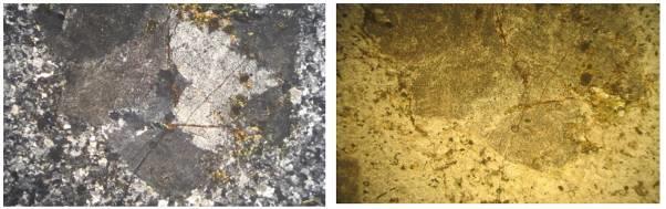 Figure 8: Porphyritic Texture, Coarse Crystals Ectomorph, and Sub Atomorph Feldspar, Quartz, Chlorite Apec in Syenite Rock Figure 9: