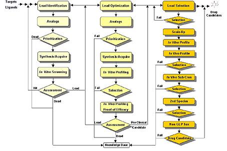 182 Sage, C. R. et al. version of a pre-clinical drug discovery (or lead candidate selection) workflow.