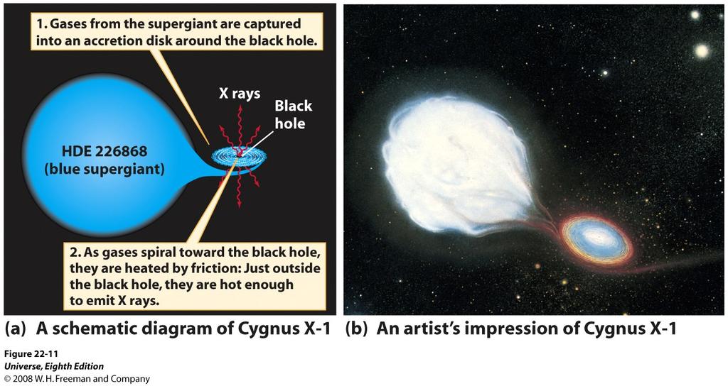 The larger member of the Cygnus X-1 system is a B0 supergiant of about 30 M.