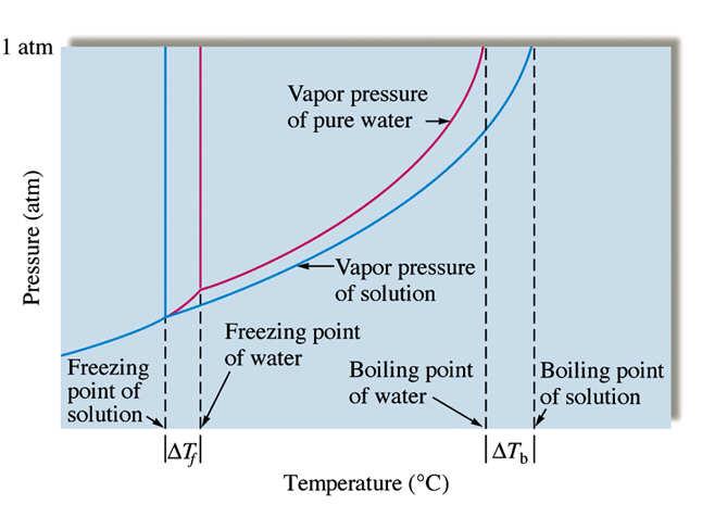 2. Boiling Point Elevation Boiling occurs when vapor pressure = external pressure.
