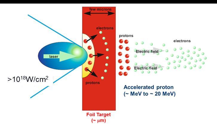 Mechanism of proton/ion acceleration Target normal sheath acceleration Radiation pressure acceleration Proton