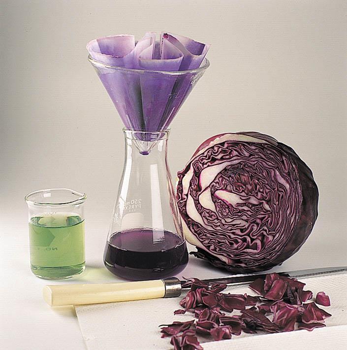 Figure 4.8: Preparation of red cabbage juice as an acid-base indicator.photo courtesy of James Scherer.