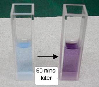 4 / 7 2. Biuret Method Protein solutions turn purple with an absorption maximum of 540 nm when Biuret reagent is added (Figure 5).